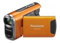 Panasonic SDR-SW21EP-D
